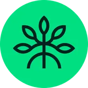 Mangrove logo